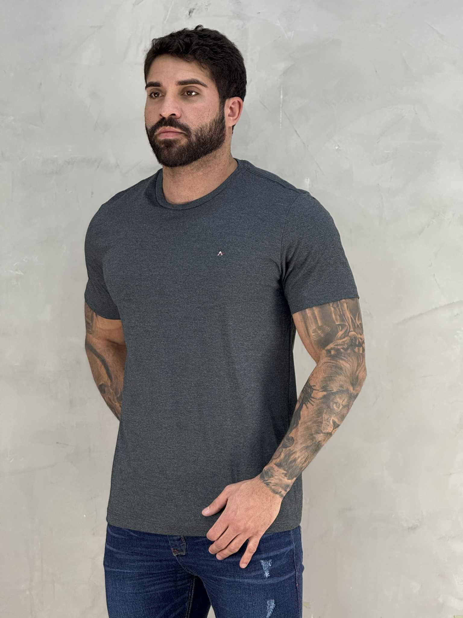 Camiseta Grafite Mescla Masculina Malha Regular - Aramis