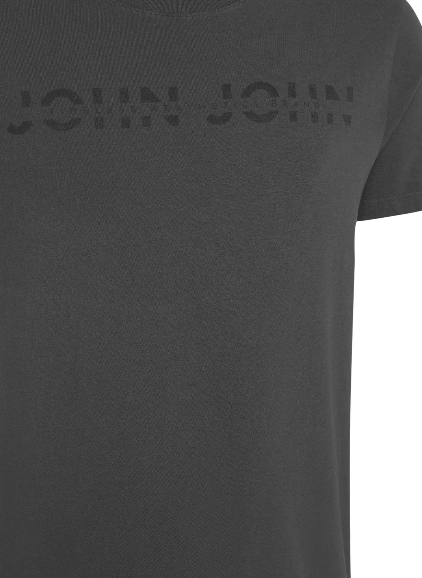 Camiseta Regular Fit Timeless Brand Cinza - John John