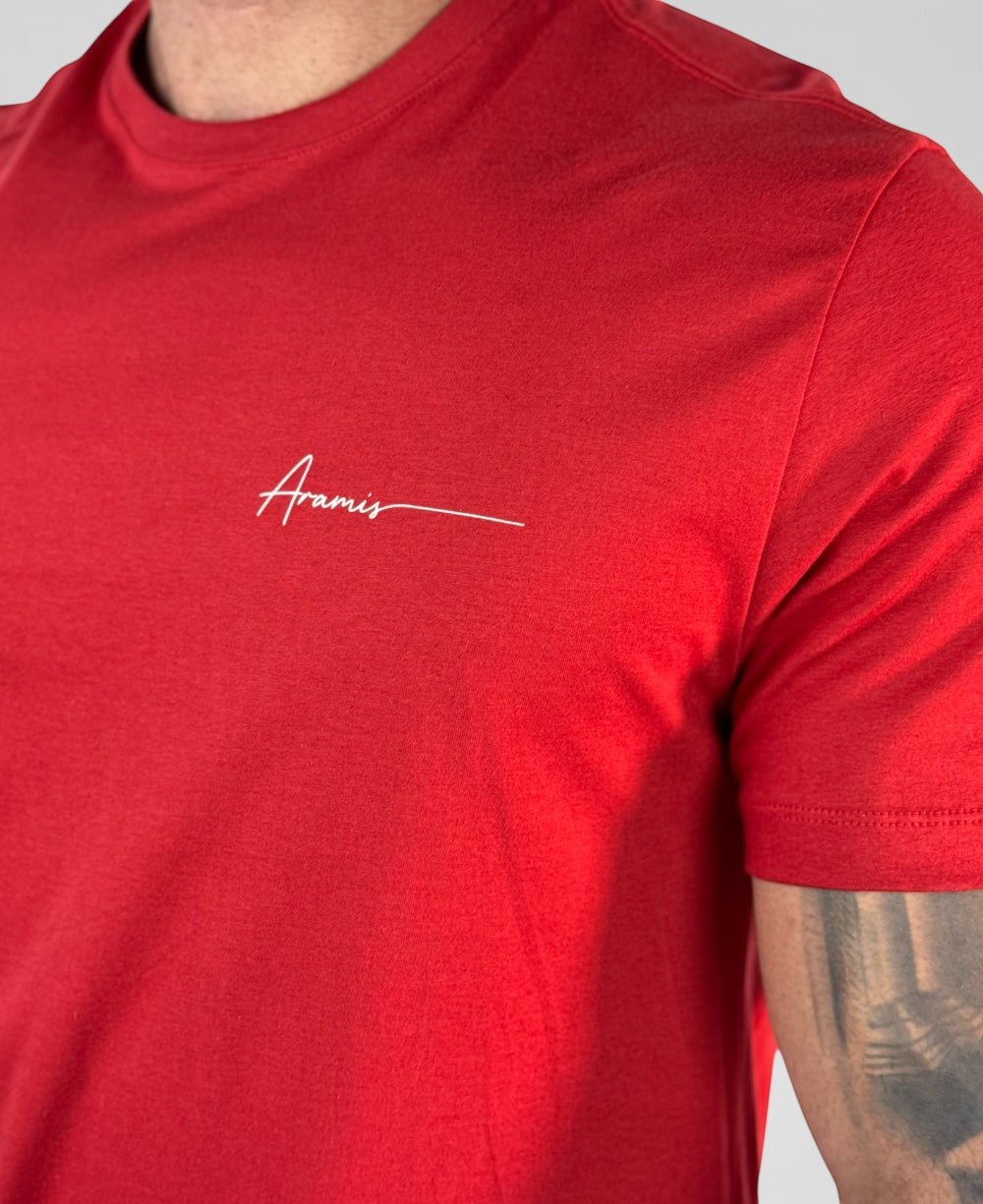 Camiseta Masculina Vermelho Malha Regular - Aramis