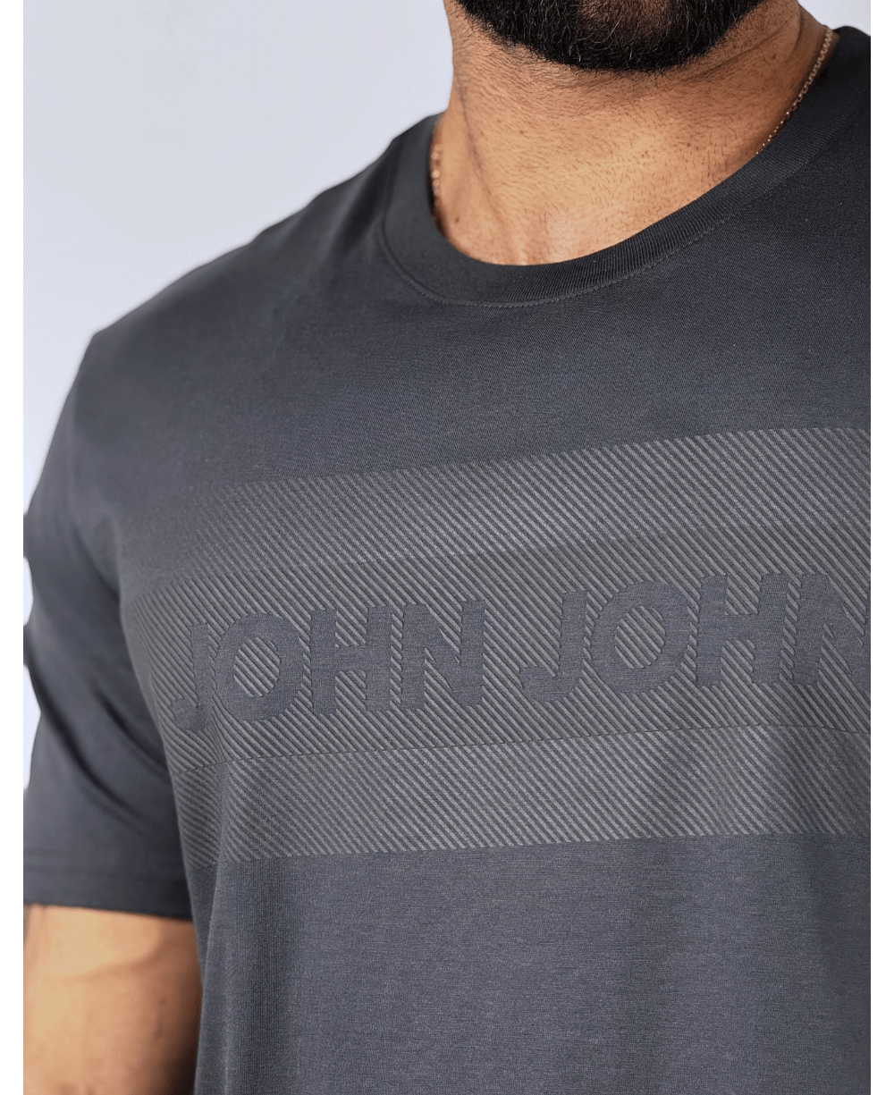Camiseta Regular Fit Big Pima Line Cinza - John John