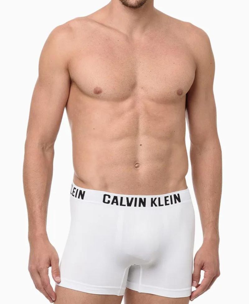 KIT 2 Cueca Trunk Underwear Microfibra - Calvin Klein