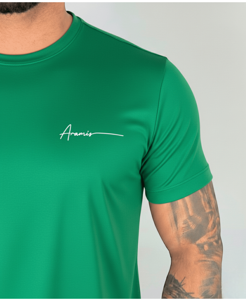 Camiseta Masculina Verde Malha Regular - Aramis
