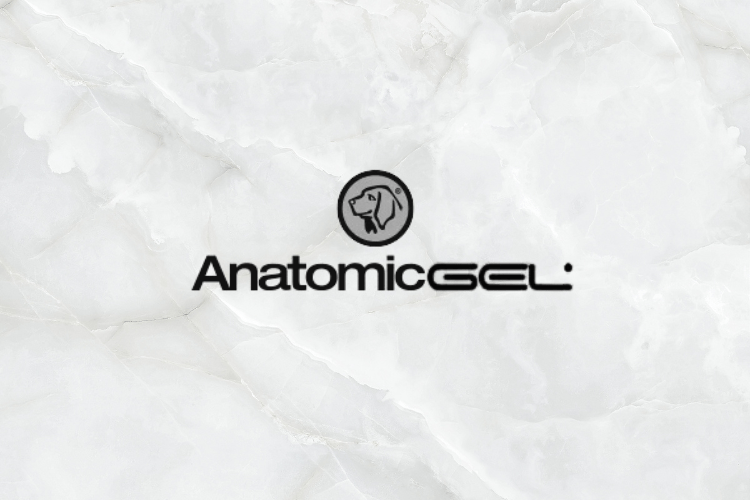 ANATOMIC GEL
