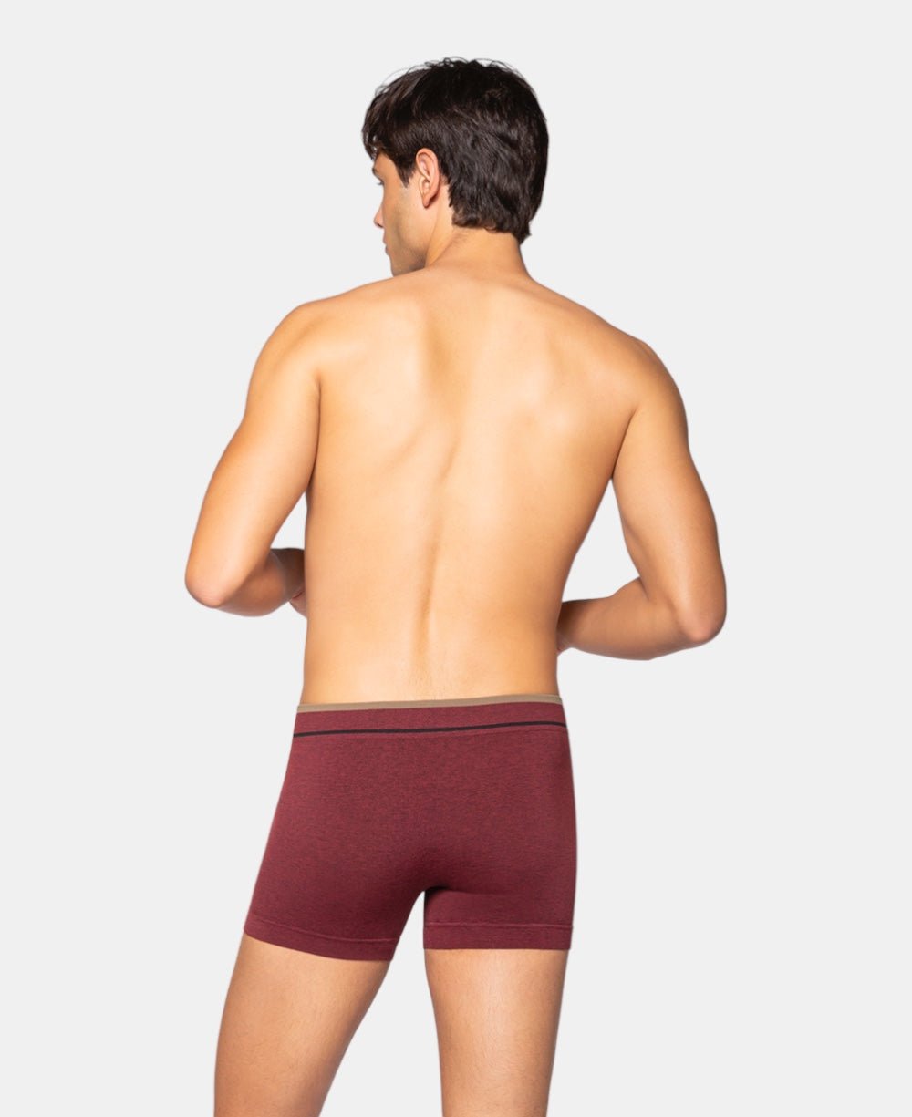 Cueca Boxer Marsala Masculina Poliamida Sem ostura - Lupo