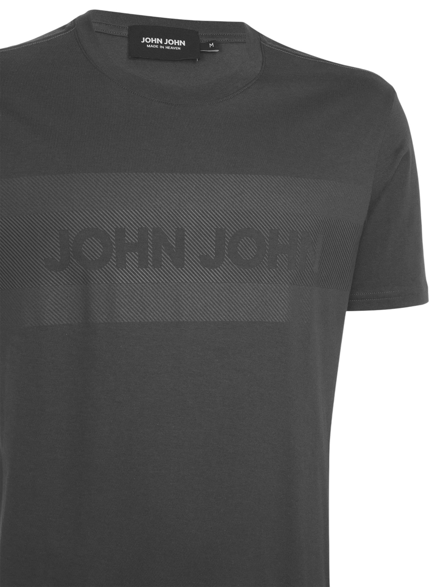 Camiseta Regular Fit Big Pima Line Cinza - John John