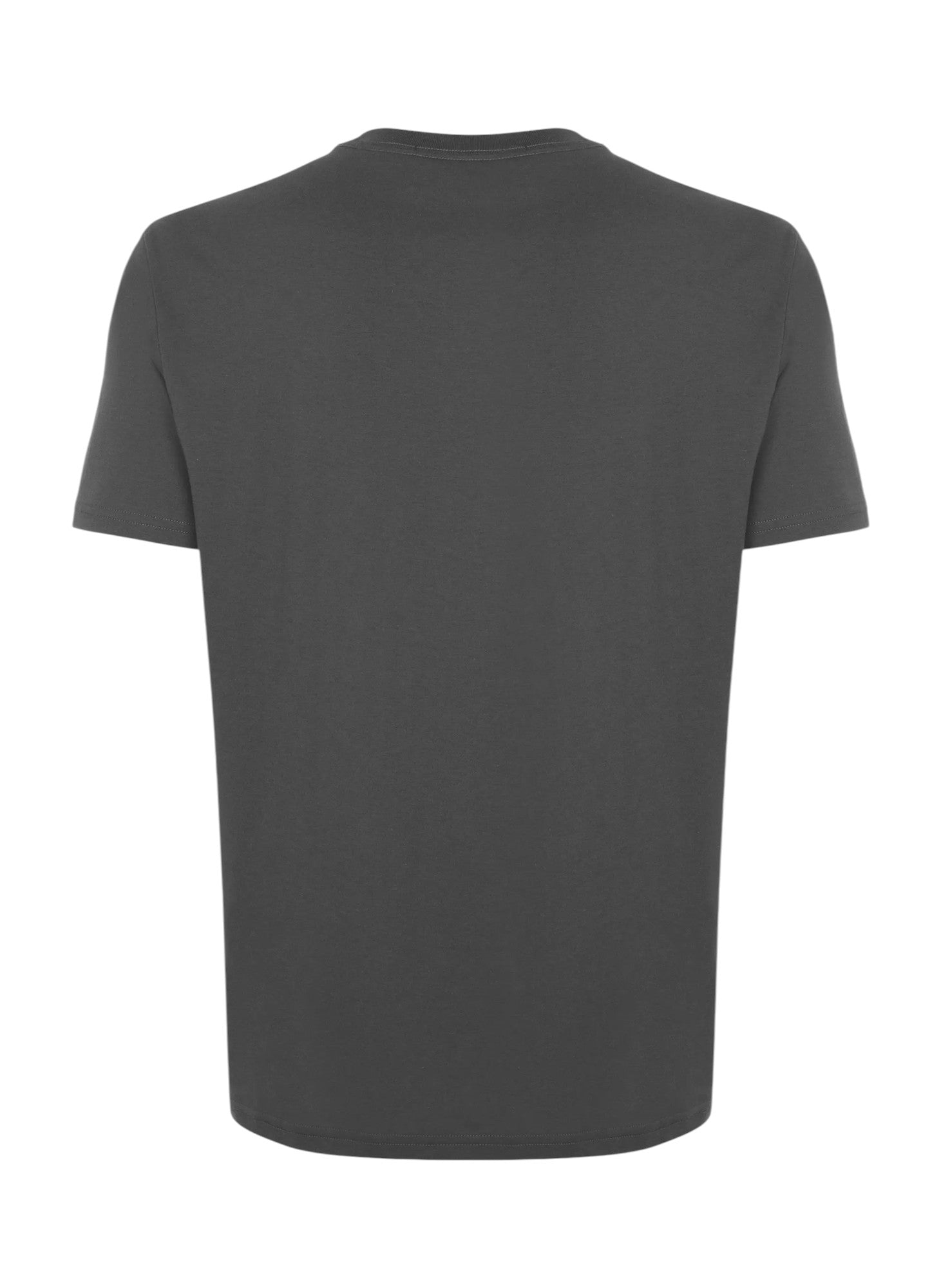 Camiseta Regular Fit Big Pima Line Cinza - John John