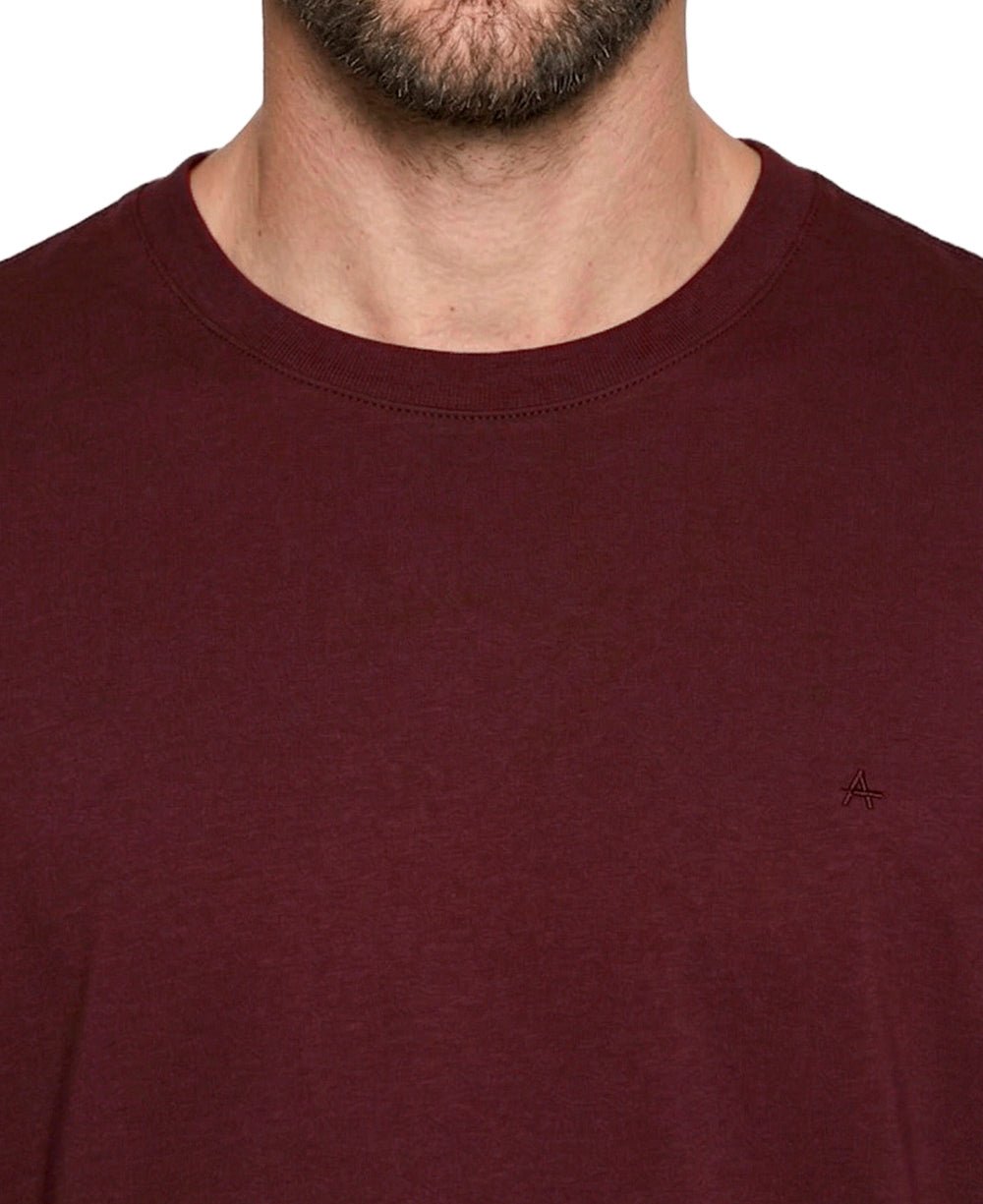 Camiseta Bordo Masculina Algodão Pima - Aramis