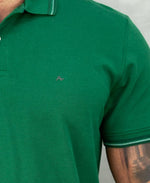 Camisa Polo Verde Masculina Piquet Frisos - Aramis