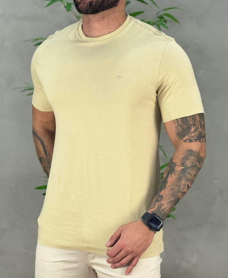 Camiseta Caqui Masculina Malha Regular - Aramis