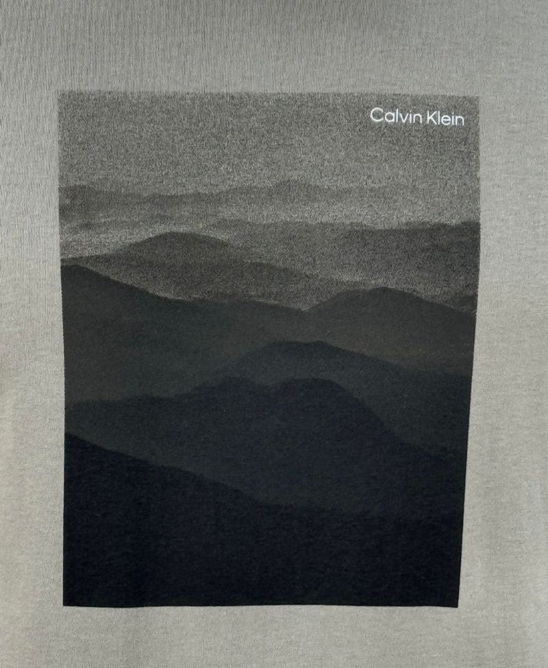 Camiseta Caqui Medio Masculina Reissue - Calvin Klein