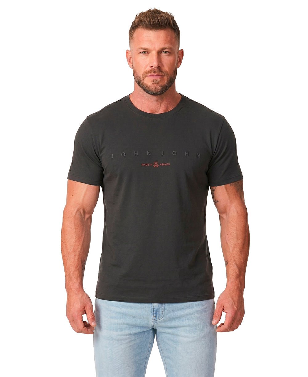 Camiseta Chumbo Masculina Slim Fit - John John