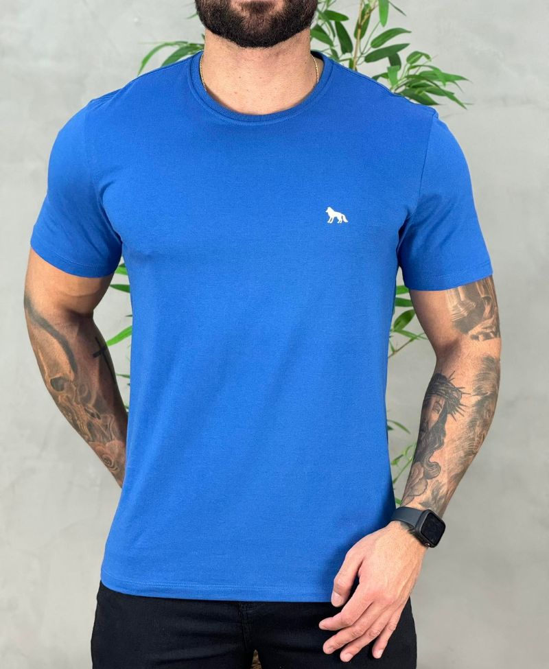 Kit 2 Camiseta Azul e Verde Hortelã Masculino Básica - Acostamento
