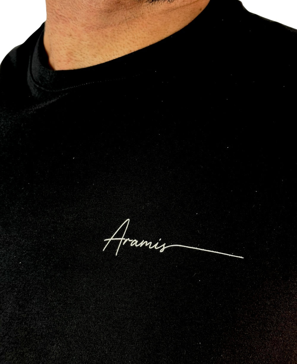Camiseta Masculina Preto Malha Regular - Aramis
