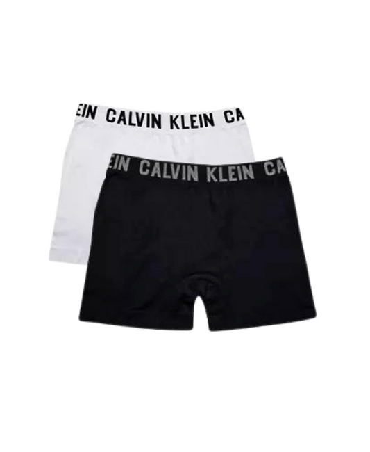 KIT 2 Cueca Trunk Underwear Microfibra - Calvin Klein