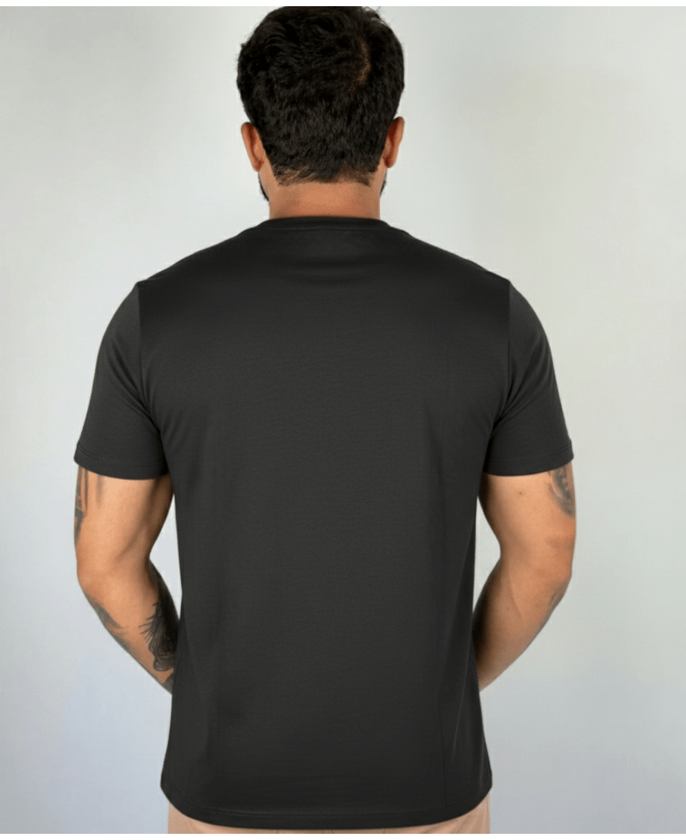 Camiseta Masculina Preto Malha Regular - Aramis