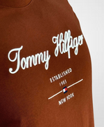 Camiseta Marrom Script Logo Masculina Regular Fit - Tommy
