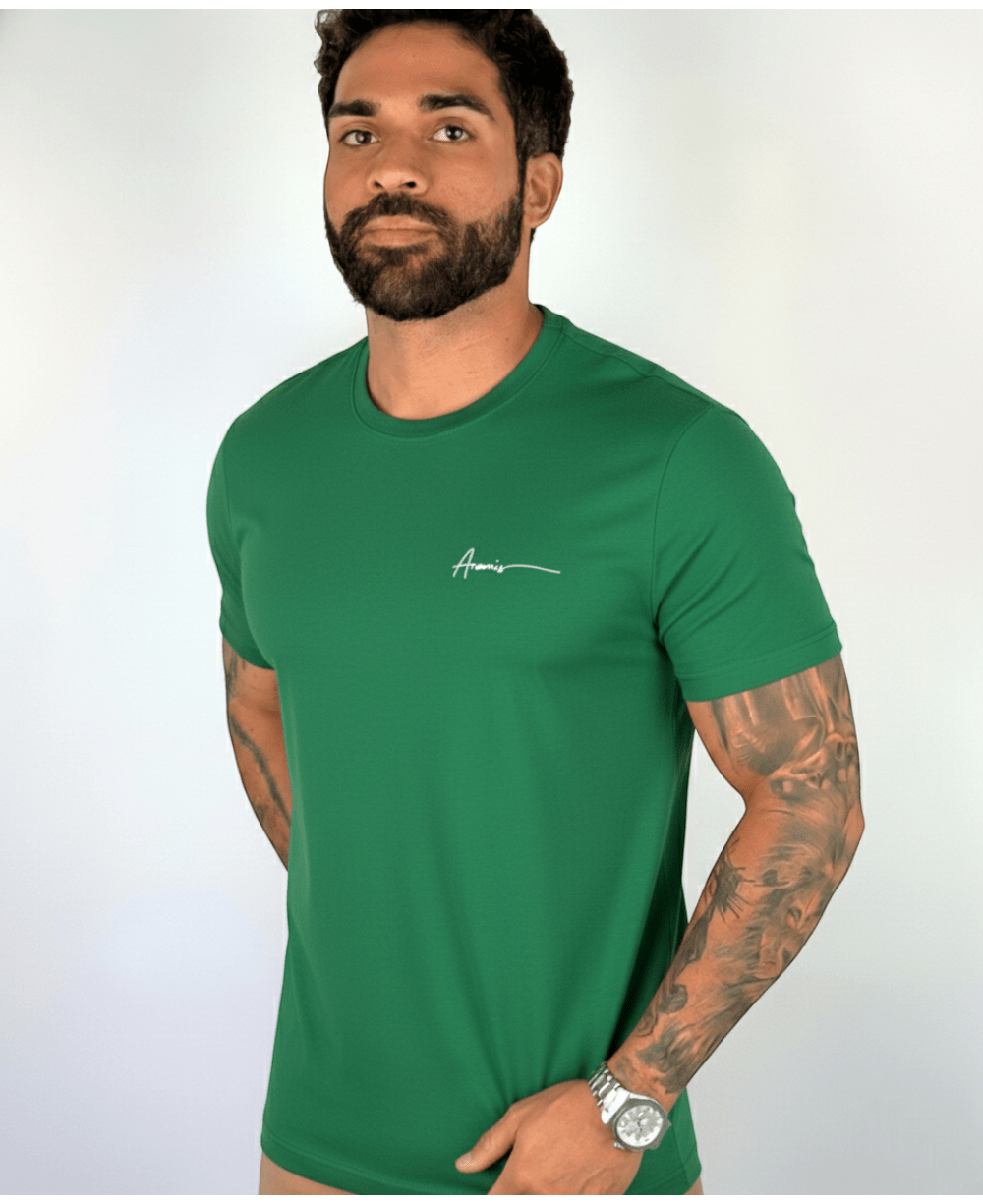 Camiseta Masculina Verde Malha Regular - Aramis