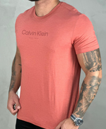Camiseta T- Shirt Ferrugem Masculina Com Logo Da Marca - Calvin Klein